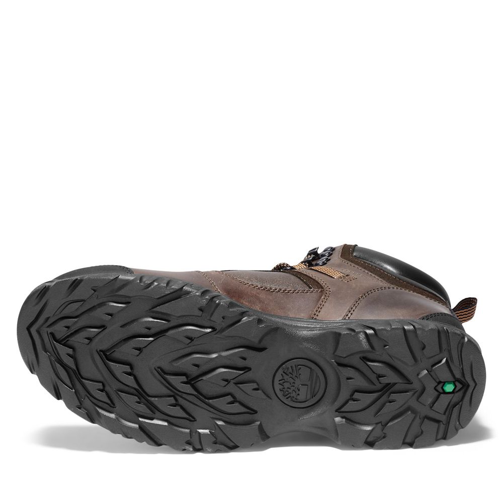 Botas de Caminhada Masculino - Timberland Mt. Major Mid - LBEJX9852 - Marrom Escuro